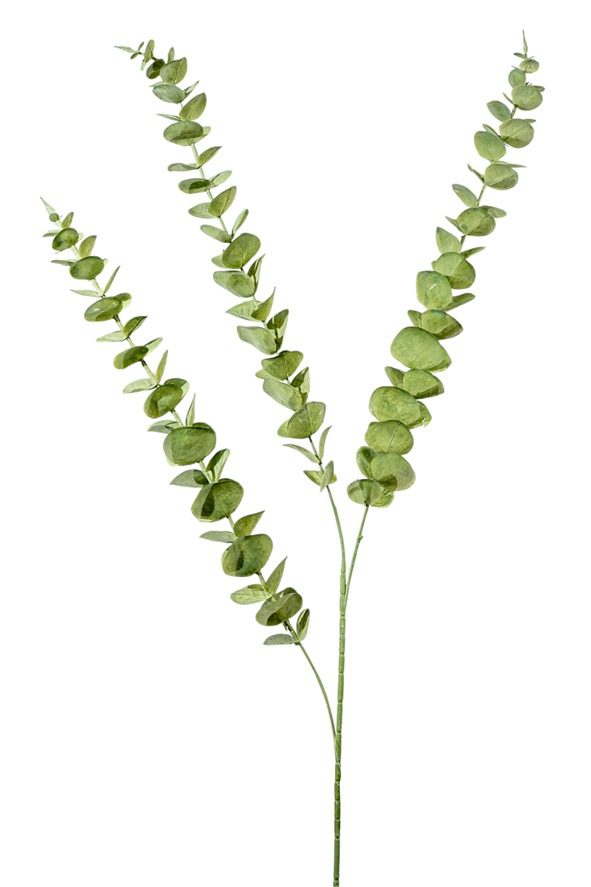 ΚΛΑΔΙ ΜΕ ΦΥΛΛΑ ΠΡΑΣΙΝΟ 110ΕΚ