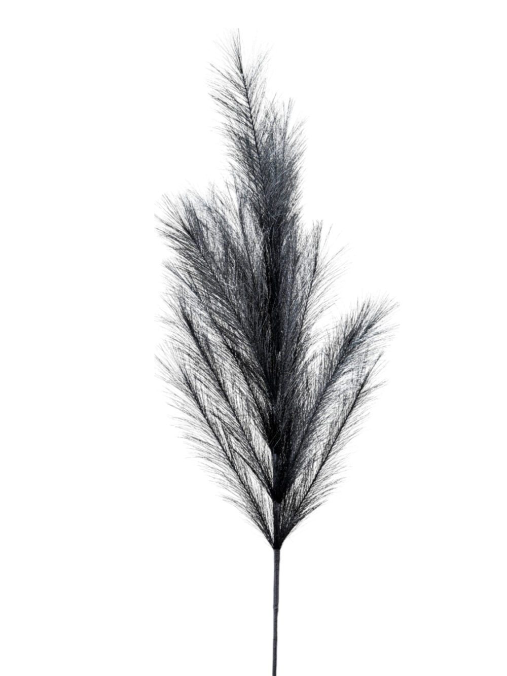 ΤΕΧΝΗΤΑ ΑΝΘΗ ΠΑΜΠΑΣ ΜΑΥΡΟ 110ΕΚ ΜΕ 18 ΚΛΑΔΙΑ