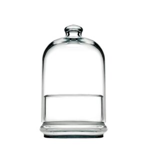 DIS. MIDI PATISSERIE BOWL W/DOME 505ML H:19 D:11,8CM P/192 GB1.OB4