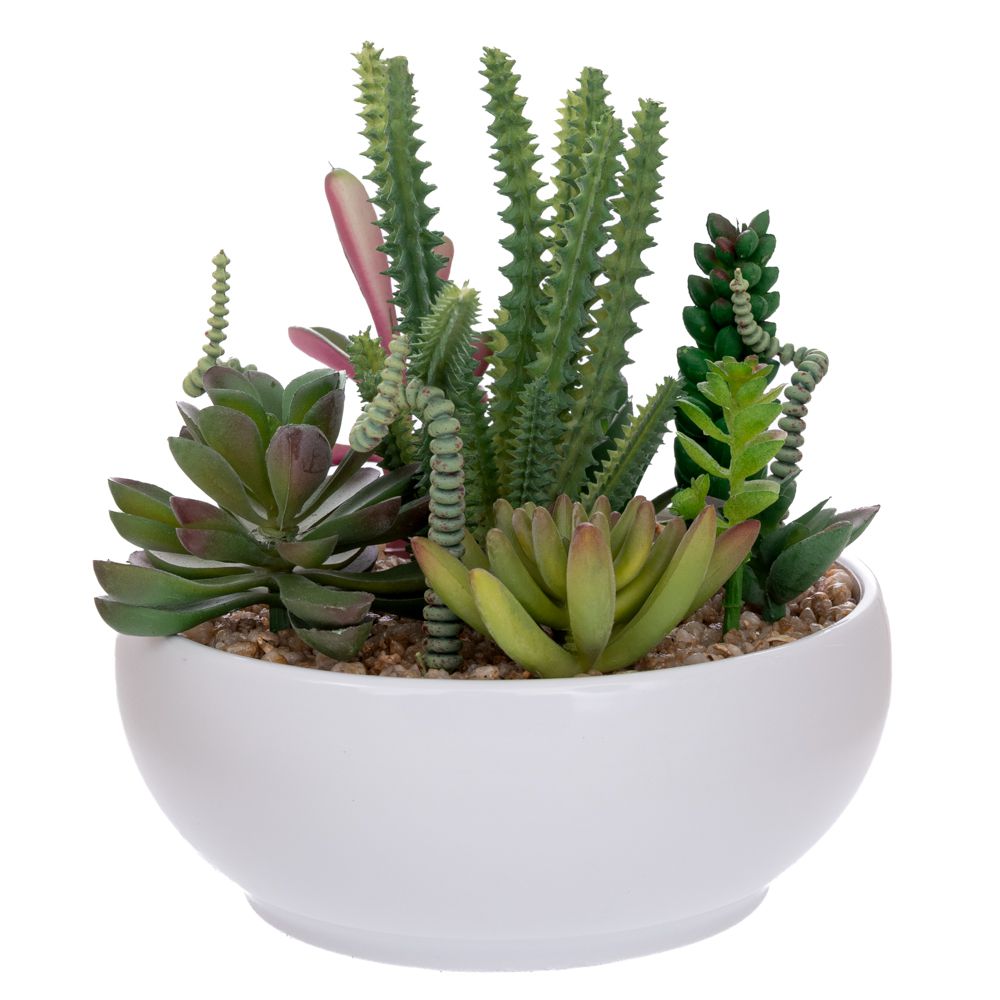 ΠΑΧΥΦΥΤΟ ΣΕ ΑΣΠΡΟ ΣΤΡΟΓΓΥΛΟ ΚΕΡΑΜΙΚΟ ΓΛΑΣΤΡΑΚΙ 17ΕΚ