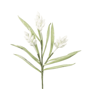 ΛΟΥΛΟΥΔΙ / ΚΛΑΔΙ FOAM ΛΕΥΚΟ 96cm